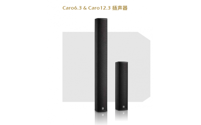 LA Audio產品助華商會樂清片組成功舉辦聯誼酒會