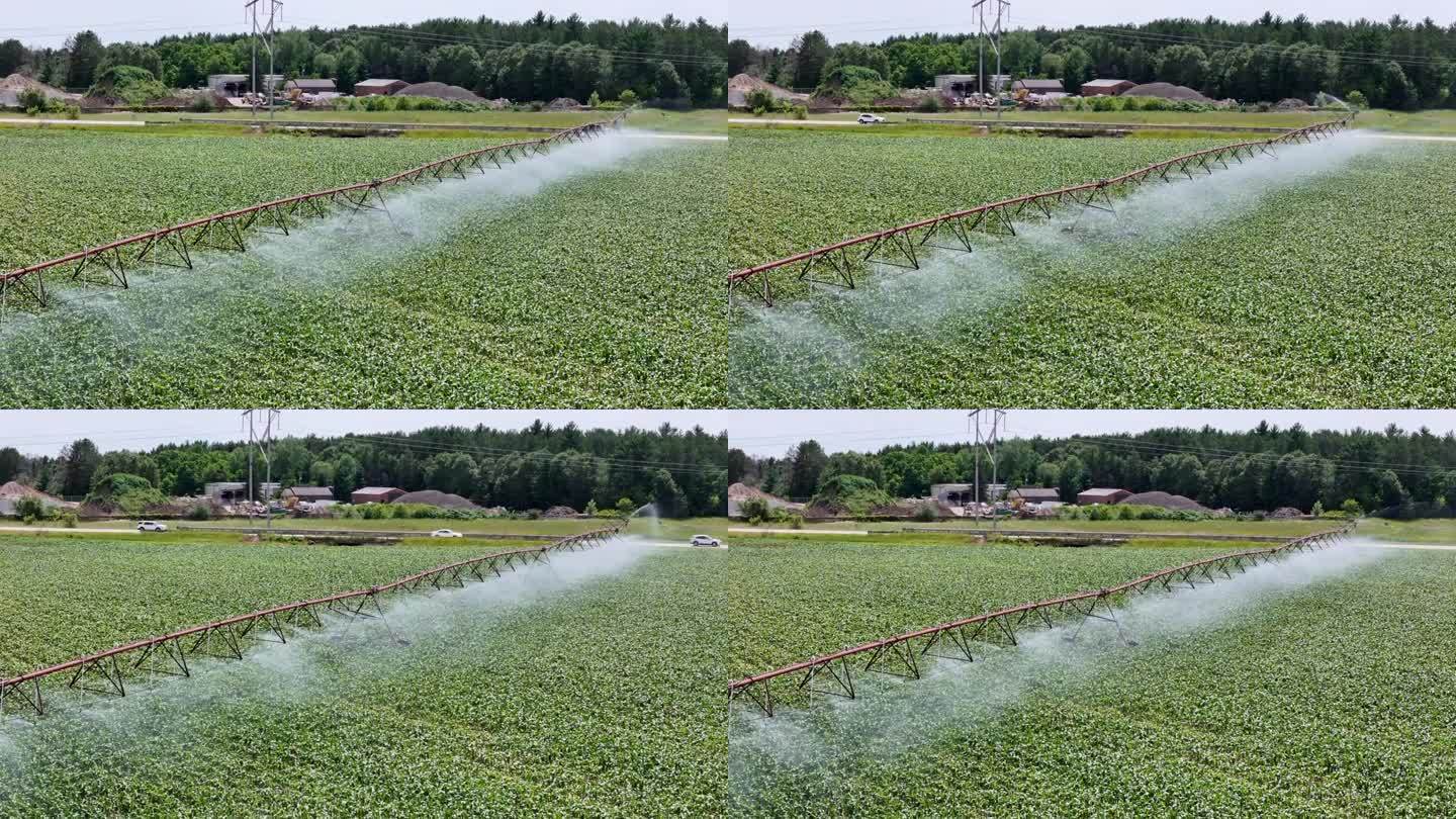 威斯康辛州中部的一片農田正在用灑水系統進行灌溉。